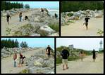 (73) post surf scramble montage (day 3).jpg    (1000x720)    400 KB                              click to see enlarged picture